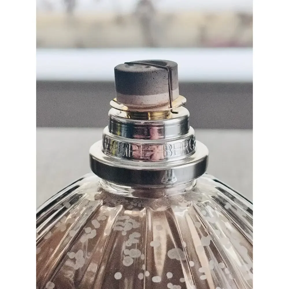 Lampe Berger Paris Fragrance Lamp Smoke Glass Catalytic Diffuser Missing Snuffer